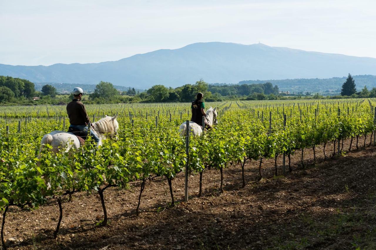 Chateau La Croix Des Pins 마잔 외부 사진